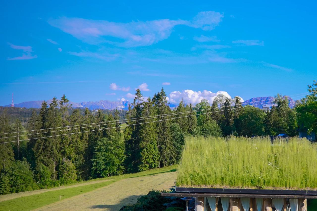 Villa Alpejska Szarotka à Nowe Bystre Extérieur photo